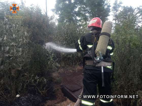 Протягом доби, що минула, вогнеборці Кіровоградської області 9 разів залучались на гасіння пожеж сухої рослинності.